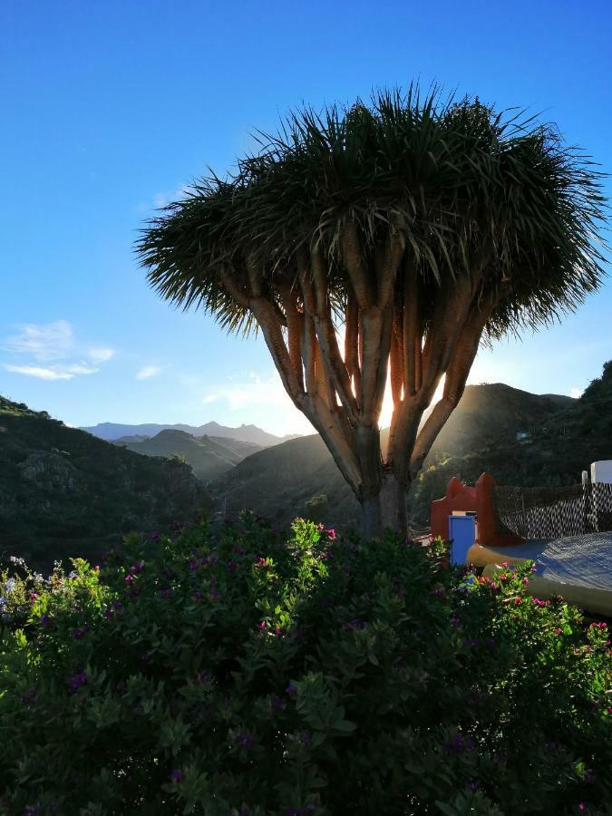 Vivelorural Casa La Cuevita, Santa Brigida Екстер'єр фото